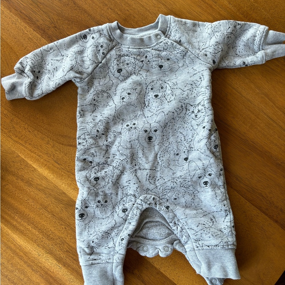 Hanna Andersson Cats and Dogs sweatsuit